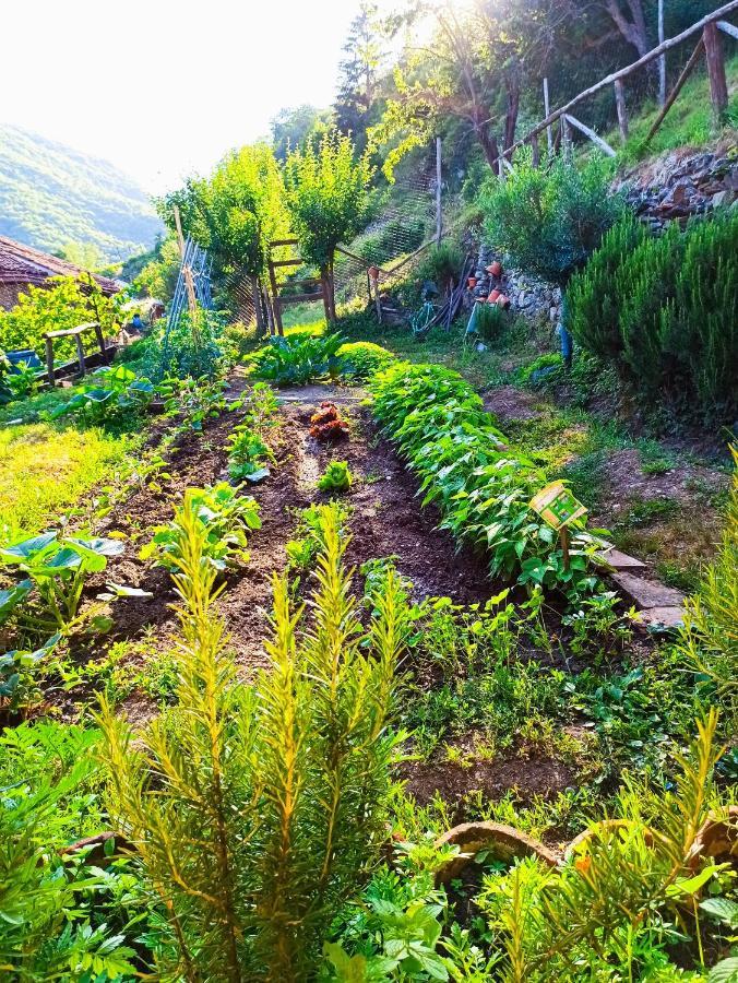 B&B Va...Lentina Piavata Buitenkant foto