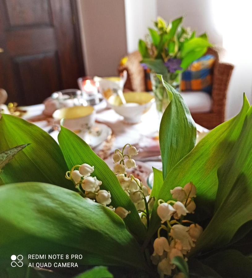 B&B Va...Lentina Piavata Buitenkant foto