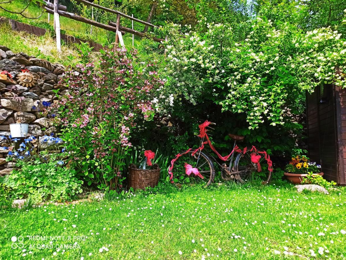 B&B Va...Lentina Piavata Buitenkant foto
