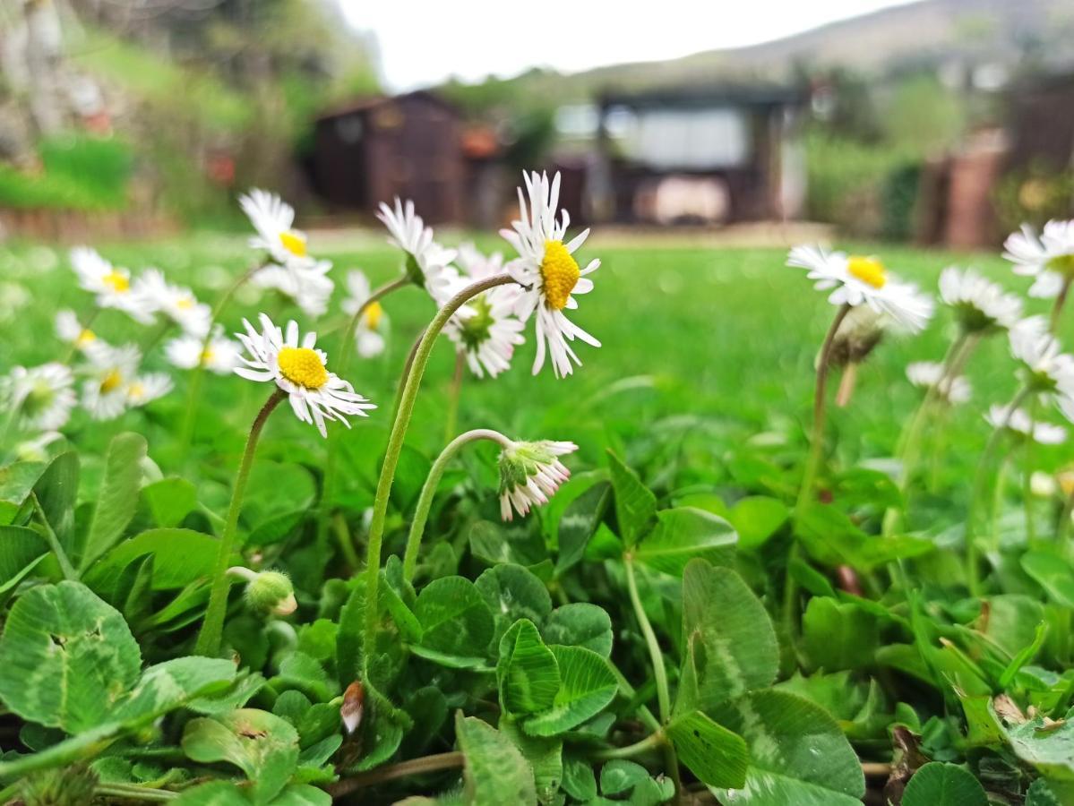 B&B Va...Lentina Piavata Buitenkant foto