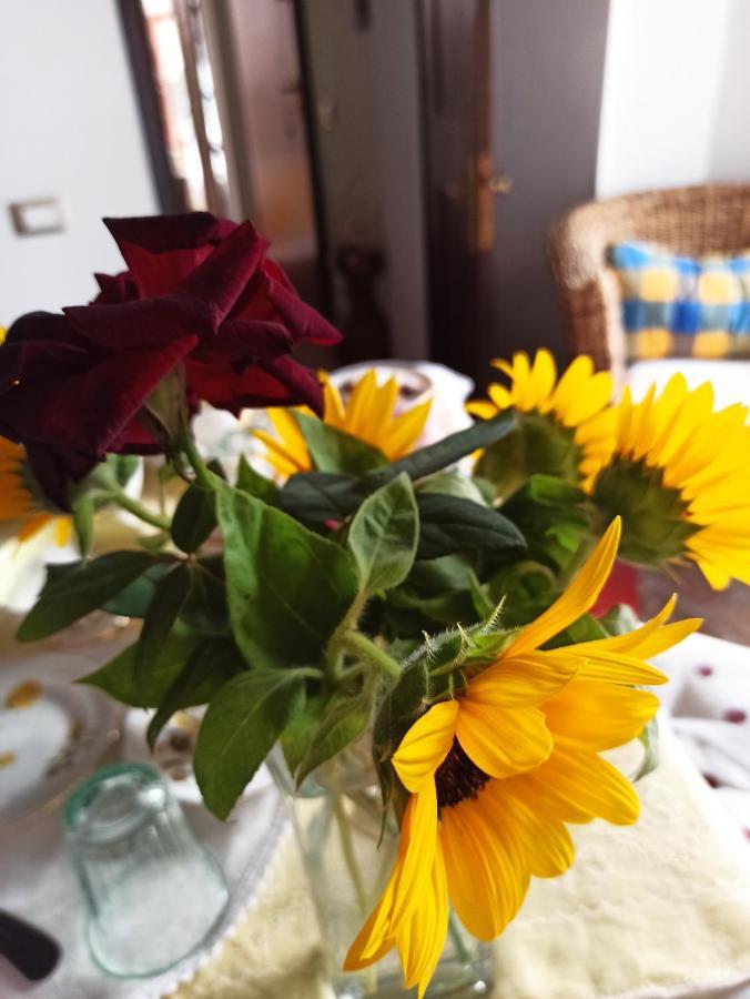 B&B Va...Lentina Piavata Buitenkant foto